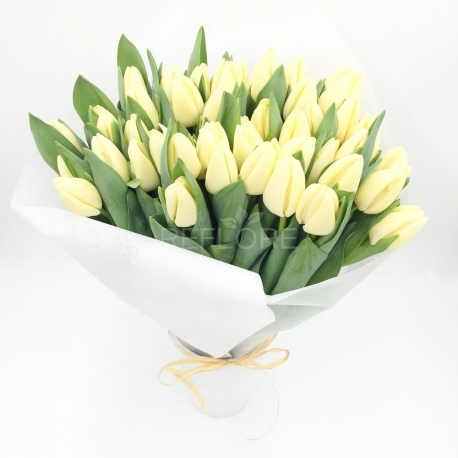 BOUQUET DI 50 TULIPANI BIANCHI