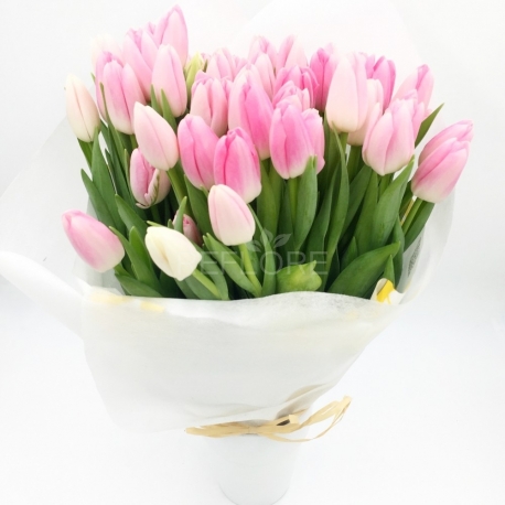 BOUQUET DI 50 TULIPANI ROSA