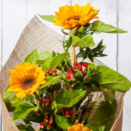 5 GIRASOLI ALLEGRI E NATURALI