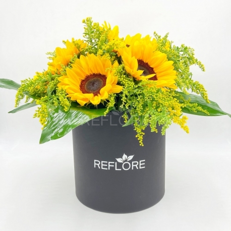 CAPPELLIERA NERA CAMPO DI GIRASOLI: girasoli e verde