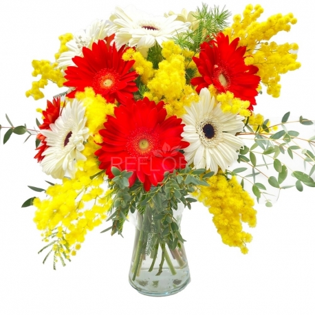 DONNA ALLEGRA: gerbere bianche e rosse con mimosa