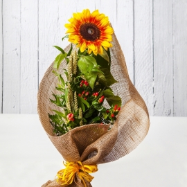 GIRASOLE SINGOLO ALLEGRO E NATURALE