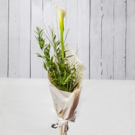 Calla singola confezionata 