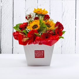 ANASTASIA: bouquet fresh rosso con Girasoli, Rose e Gerbere.