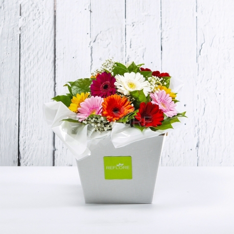 ELETTRA: bouquet fresh colorato con Gerbere e Gipsophila.