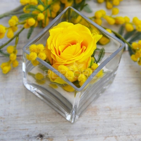 ROSA STABILIZZATA GIALLA CON MIMOSA