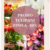 🌷primavera sbocciano i tulipani e le nostre promozioni! 🌷 Ordina entro giovedì 18 aprile e colora la tua casa 🌸 link in bio 🌸