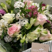 Voglia di primavera? Ci pensiamo noi..Scopri subito le nostre offerte su www.reflore.it e ricevi il profumo di fiori direttamente a casa tua 🌷